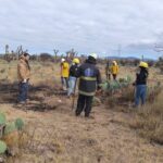 6dba080a-3423-4414-9957-e1e0a88fd00a