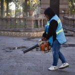 Calzada de Guadalupe