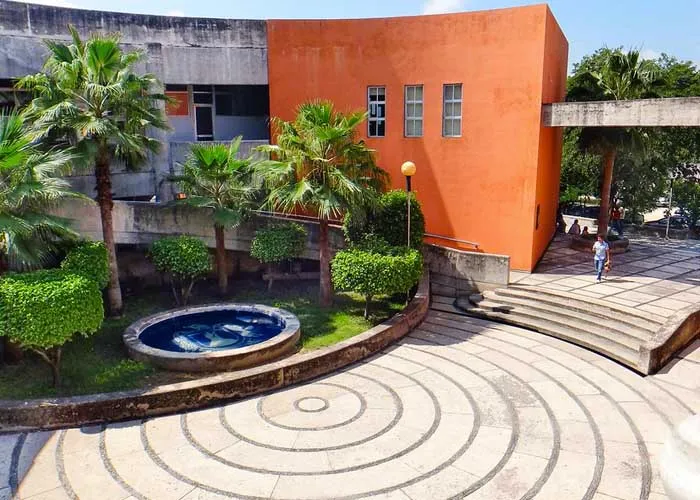 Facultad de Estudios Profesionales