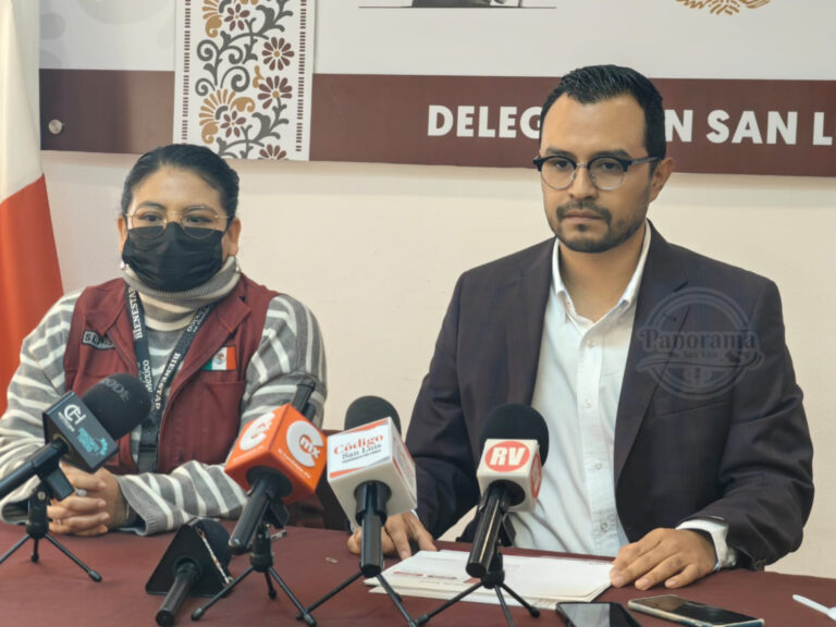 InShot_20260204_101143596