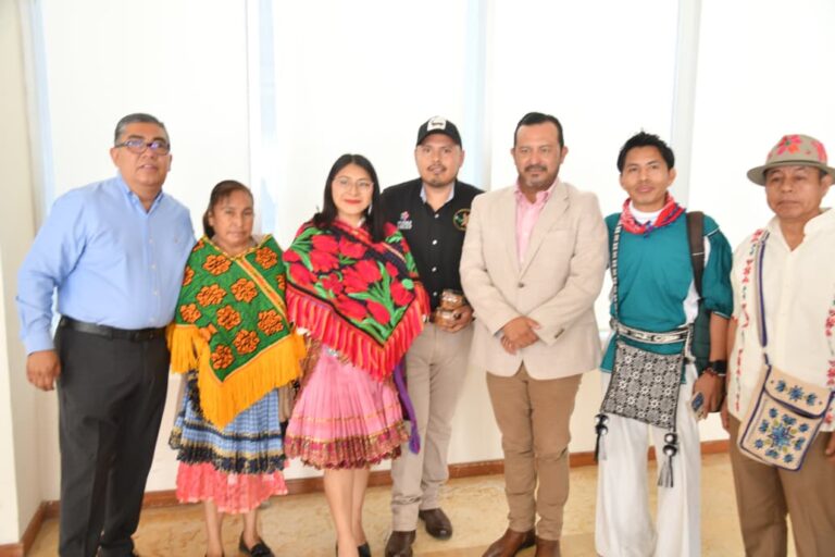 Festival del Artesano