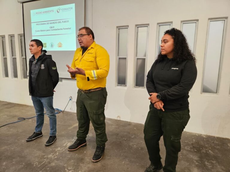 9843465c-066c-42e2-bdee-8e1dcf513263