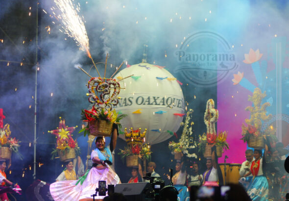 InShot_20260329_234106882