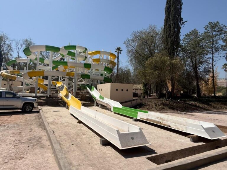 WhatsApp Image 2026-03-19 at 10.03.03 AM