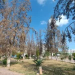 jardín Juan Ruiz