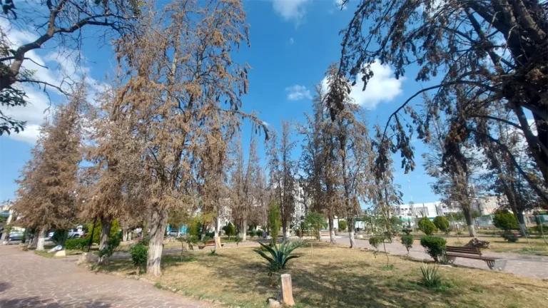 jardín Juan Ruiz