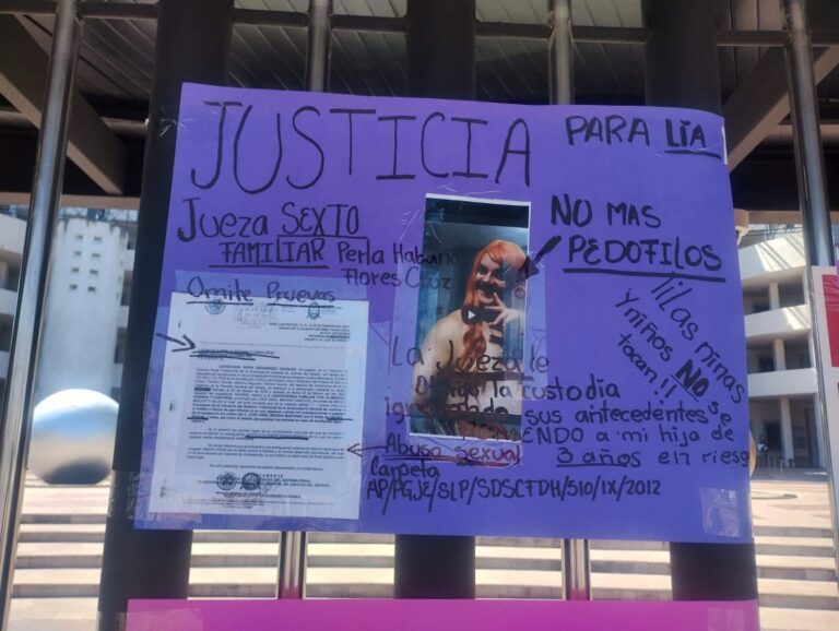 Madre enfrenta al Poder Judicial por la custodia de su hija