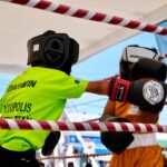 83e2209e-8d7f-4512-a5d9-fc16fc1c0dda