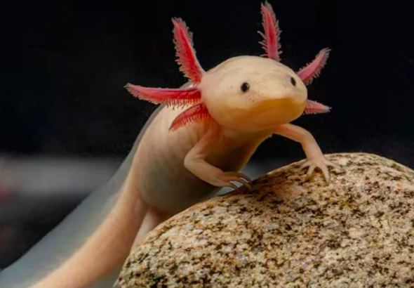 Captura de Pantalla 2026-04-27 a la(s) 9.25.06