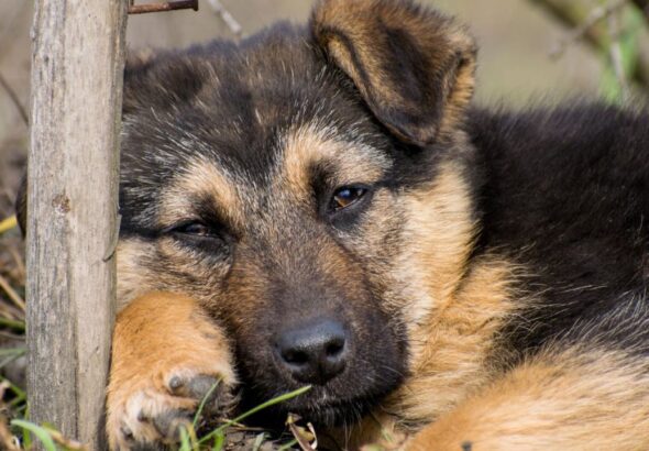 WhatsApp Image 2026-04-27 at 1.33.54 PM