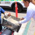 jornada gratuita de vacunación