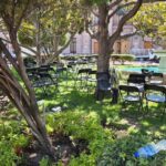 710202969_122260485968260624_235960382397454110_n