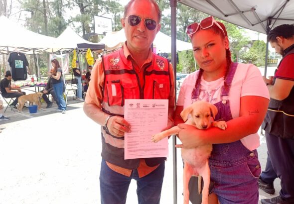 Invitan a la 2ª Jornada de Adopción Responsable de Mascotas