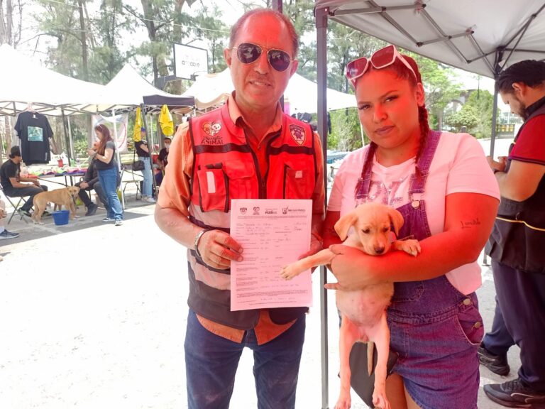 Invitan a la 2ª Jornada de Adopción Responsable de Mascotas