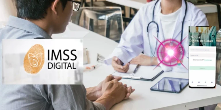 IMSS-digital