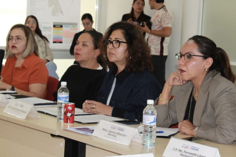 instancia mujeres 2
