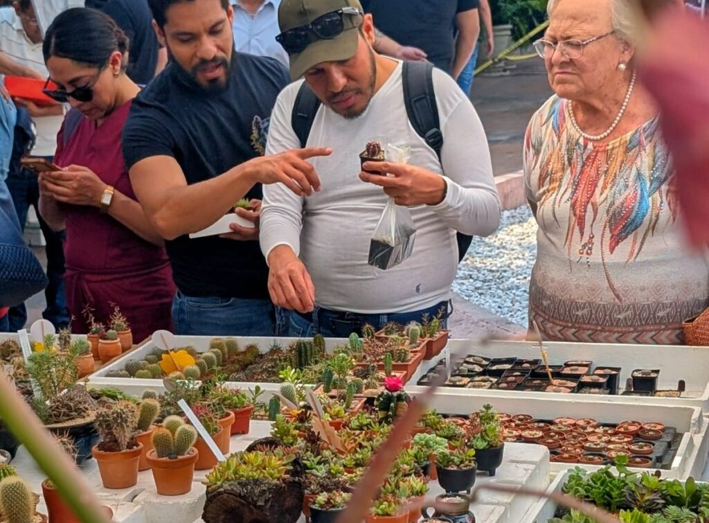 Festival de las Cactáceas