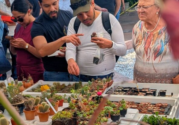 Festival de las Cactáceas