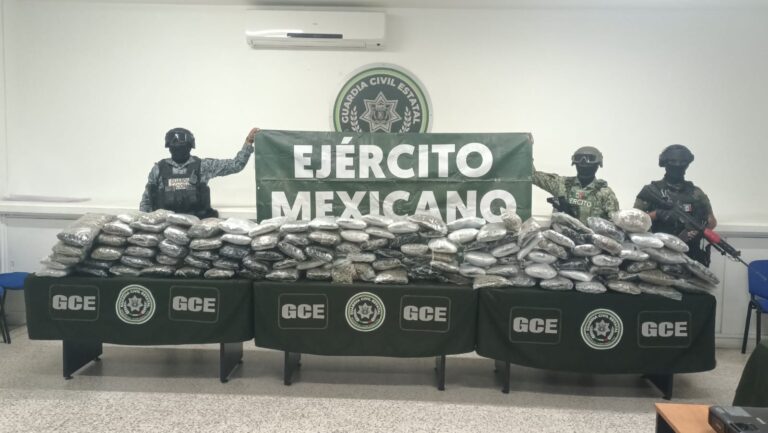 Decomisan marihuana